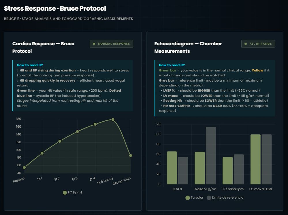 Bruce protocol stress response and echocardiogram measurements