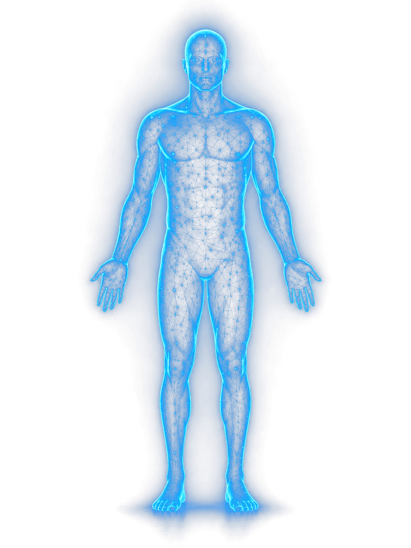 Holographic body composition figure
